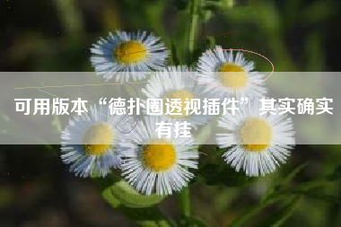 可用版本“德扑圈透视插件	”其实确实有挂