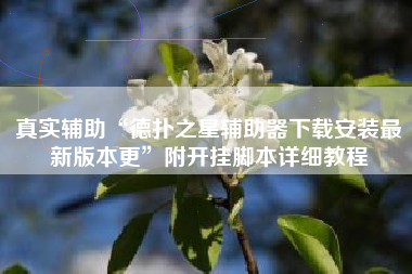 真实辅助“德扑之星辅助器下载安装最新版本更”附开挂脚本详细教程