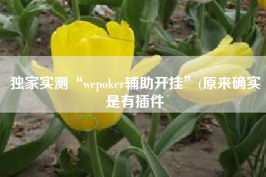 独家实测“wepoker辅助开挂	”(原来确实是有插件