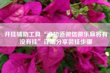 开挂辅助工具“谁知道微信微乐麻将有没有挂”详细分享装挂步骤