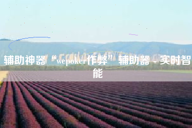 辅助神器“wepoker作弊”辅助器 - 实时智能