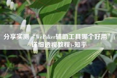 分享实测“WePoker辅助工具哪个好用	”(详细透视教程)-知乎