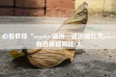 必看教程“wepoker德州一键透视红龙poker有透视辅助挂(太
