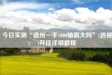 今日实测“德州一手1000输赢大吗”(透视)开挂详细教程