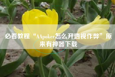 必看教程“AApoker怎么开透视作弊	”原来有神器下载