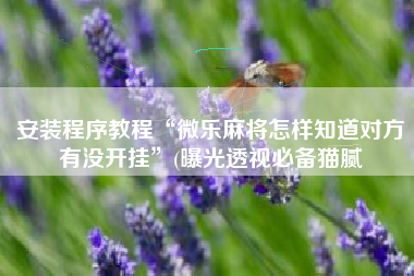 安装程序教程“微乐麻将怎样知道对方有没开挂”(曝光透视必备猫腻