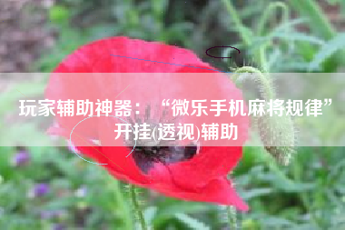 玩家辅助神器：“微乐手机麻将规律”开挂(透视)辅助