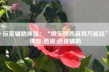 玩家辅助神器：“微乐陕西麻将万能挂”作弊(透视)透视辅助