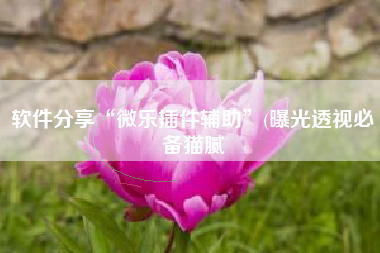 软件分享“微乐插件辅助”(曝光透视必备猫腻