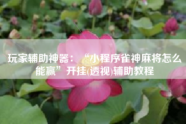 玩家辅助神器：“小程序雀神麻将怎么能赢”开挂(透视)辅助教程