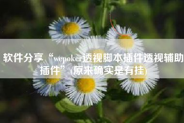 软件分享“wepoker透视脚本插件透视辅助插件	”(原来确实是有挂)