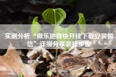 实测分析“微乐跑得快开挂下载安装微信	”详细分享装挂步骤