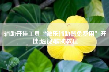 辅助开挂工具“微乐辅助器免费用	”开挂(透视)辅助教程