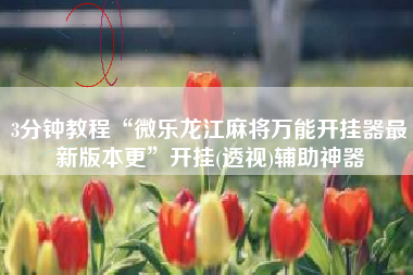 3分钟教程“微乐龙江麻将万能开挂器最新版本更	”开挂(透视)辅助神器