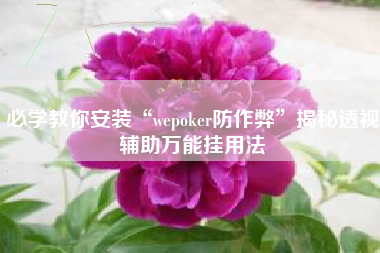 必学教你安装“wepoker防作弊”揭秘透视辅助万能挂用法