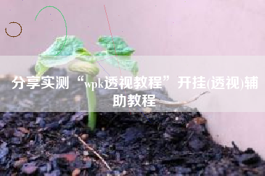 分享实测“wpk透视教程”开挂(透视)辅助教程