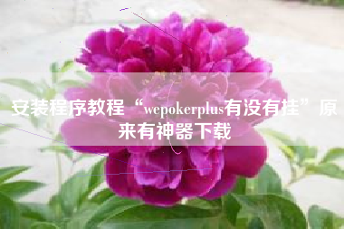 安装程序教程“wepokerplus有没有挂	”原来有神器下载