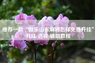 推荐一款“微乐山东麻将怎样免费开挂”开挂(透视)辅助教程