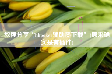 教程分享“hhpoker辅助器下载”(原来确实是有插件)