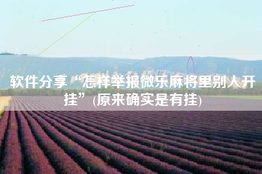 软件分享“怎样举报微乐麻将里别人开挂”(原来确实是有挂)