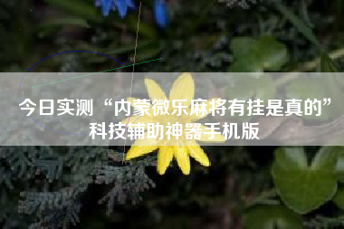 今日实测“内蒙微乐麻将有挂是真的”科技辅助神器手机版