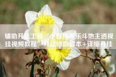 辅助开挂工具“小程序微乐斗地主透视挂视频教程”开挂辅助脚本+详细开挂