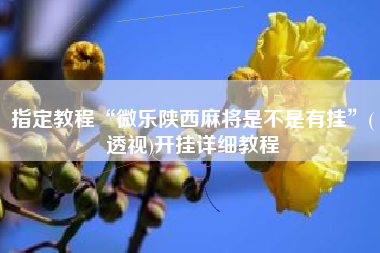 指定教程“微乐陕西麻将是不是有挂”(透视)开挂详细教程