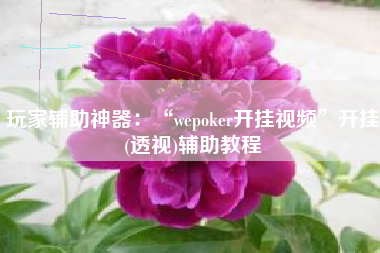 玩家辅助神器：“wepoker开挂视频”开挂(透视)辅助教程