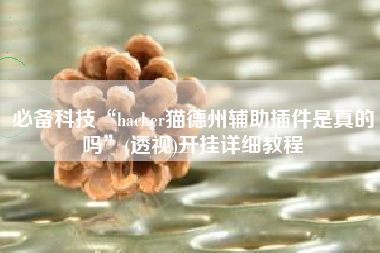 必备科技“hacker猫德州辅助插件是真的吗”(透视)开挂详细教程