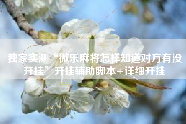 独家实测“微乐麻将怎样知道对方有没开挂”开挂辅助脚本+详细开挂