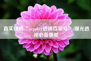 真实辅助“wepoker透视百家号”(曝光透视必备猫腻