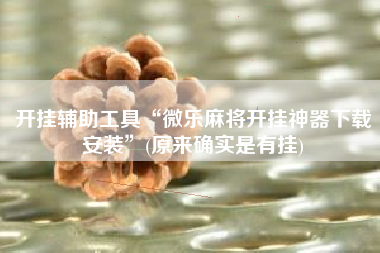 开挂辅助工具“微乐麻将开挂神器下载安装	”(原来确实是有挂)