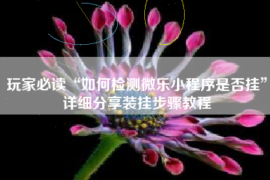 玩家必读“如何检测微乐小程序是否挂”详细分享装挂步骤教程