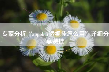 专家分析“appoker透视挂怎么用	”详细分享装挂