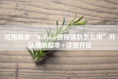 可用版本“WePoker透视辅助怎么用	”开挂辅助脚本+详细开挂