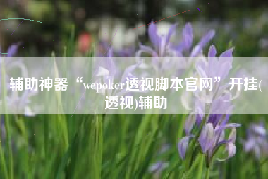辅助神器“wepoker透视脚本官网”开挂(透视)辅助