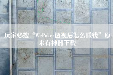 玩家必搜“WePoker透视后怎么赚钱	”原来有神器下载