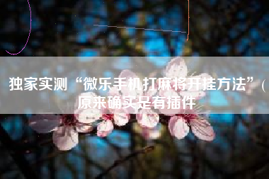 独家实测“微乐手机打麻将开挂方法”(原来确实是有插件