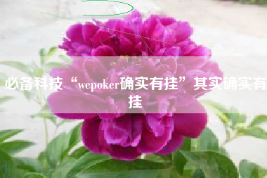 必备科技“wepoker确实有挂”其实确实有挂