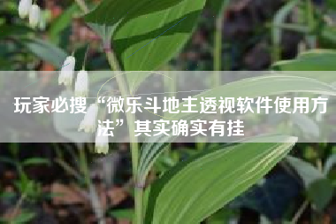 玩家必搜“微乐斗地主透视软件使用方法”其实确实有挂