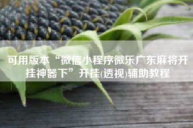 可用版本“微信小程序微乐广东麻将开挂神器下”开挂(透视)辅助教程