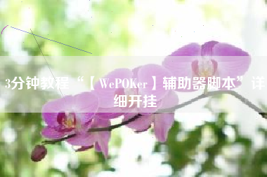 3分钟教程“【WePOKer】辅助器脚本”详细开挂
