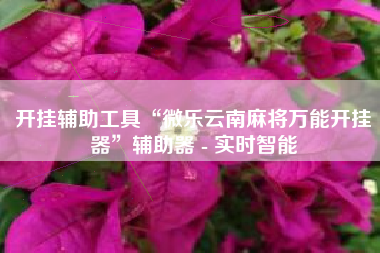 开挂辅助工具“微乐云南麻将万能开挂器”辅助器 - 实时智能