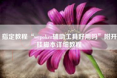 指定教程“wepoker辅助工具好用吗”附开挂脚本详细教程