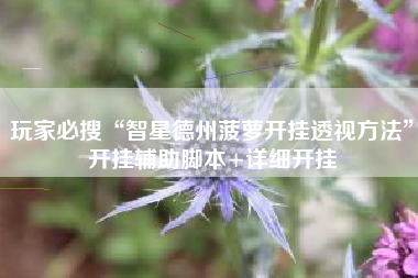 玩家必搜“智星德州菠萝开挂透视方法”开挂辅助脚本+详细开挂