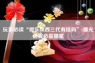 玩家必读“微乐陕西三代有挂吗”(曝光透视必备猫腻