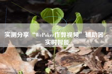 实测分享“WePoker作弊视频”辅助器 - 实时智能