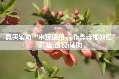 真实辅助“来玩德州app作弊详细教程	”开挂(透视)辅助