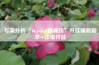 专家分析“AGpoker透视挂”开挂辅助脚本+详细开挂