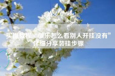 实操教程“微乐怎么看别人开挂没有”详细分享装挂步骤